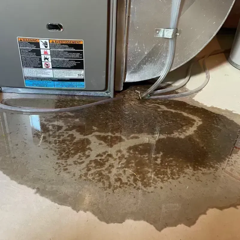 Appliance Leak Cleanup in Greene County, IL